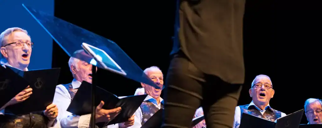 De Meerpaal (42)